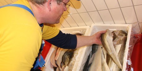 Kvalitetsvurdering af torskefileter hos Strandby Fiskeeksport ApS.