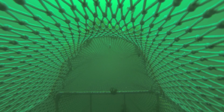 Geometrien til det vertikaldelte eksperimentelle fangstredskab.